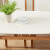 QUANU（QUANU）純木フレームテーブルセットシンプロ北欧食卓ミニテーブル家庭用テーブル120396テーブル4椅子